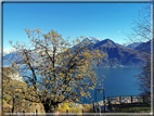 foto Lago di Como